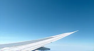 Understanding Airplane Wings: A Beginner's Look